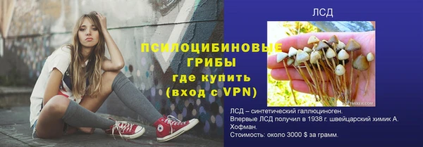шишки Волосово