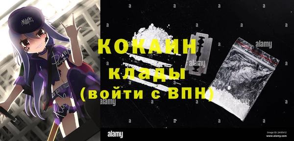 шишки Волосово